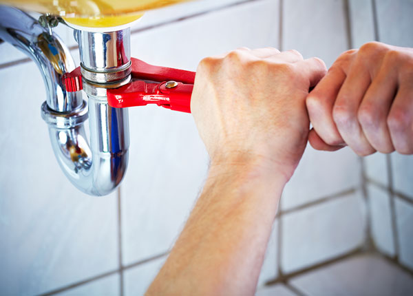 About Nelsonia Plumbers